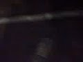 Disco alfred