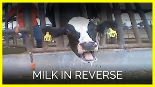 BRING AWARENESS TO YOU - Fight, Fit & Fabulous Friday