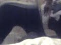 tiffanie dancing