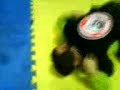 Treinamento Equipe Kilson Raça Treinamento Equipe Kilson Raça