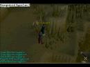 The giant mole hunt part 2! 2/3