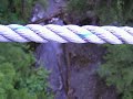 Alaska Zipline Adventures -- P&M Alaskan Vacation 2008 -- P#4