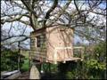 Building Molly's Treehouse
