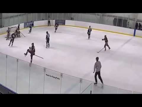 Alifanov Yaroslav. Goal