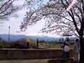東京・桜スペシャル