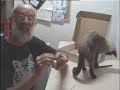 En un contenedor de basura se encuentra los cuatro elementos para construir, en unos instantes, un cordófono - un instrumento de cuerda. Las partes son cuerda (gomilla), puente (un trozo de una rama fina), cejuela (un cacho de una palmera), y una caja de cartón (caja armónica - el elemento qu amplifica el sonido de la cuerda). La música nos rodea constantemente en todos lugares, tanto en el mundo exterior como en el mundo interior. ¡Descubrela!