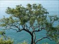 Corniche Jijilienne - Algerie