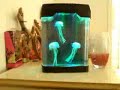 Jellyfish Mood Lamp