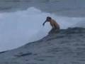 Surf Session Report: 181, Kewalo Basin