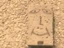 The adventure of Boby Spongy II