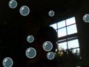 bubbles! bubbles!