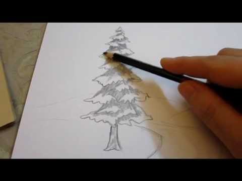 how to shade a tree