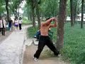 An JianQiu Shakes A Tree An JianQiu Shakes A Tree