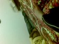 20092009.mp4