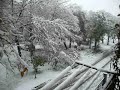 Fiorenzuola - I vialetti a Novembre, un anno dopo