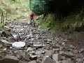 Trefil rocks