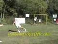 2007 Golden Stick Wiffle Ball League Playoffs - Part I