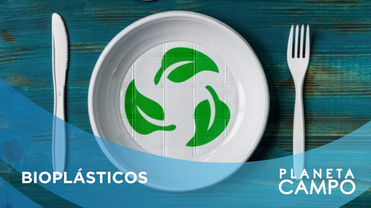 Brasil Pode Se Tornar Líder Global Neste Mercado