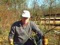 Moving An Established Rose During Dormant Season