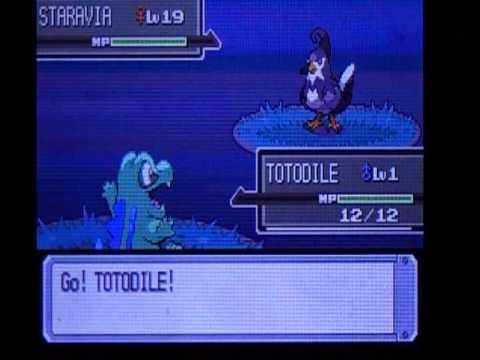 totodile