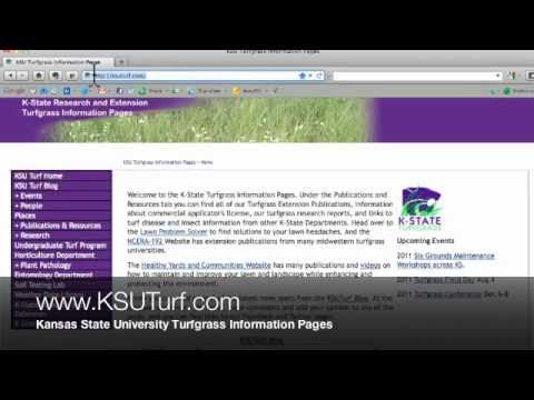 how to determine frequency