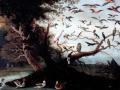 Alain Zaepffel Video - "John Bennet, Venus' Birds, Jan van Kessel, senior"