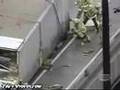 Unfall des Jahres 2008