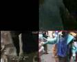 G8 Genova 2001- Carica CC via tolemaide - Video 2