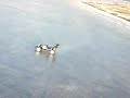 r/c car drifting with crono-ippodromos r/c car drifting with crono-ippodromos