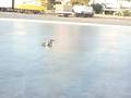 r/c car drifting with crono-ippodromos