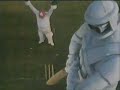 The Goodies - Cricket The Goodies - Cricket