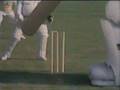 The Goodies - Cricket