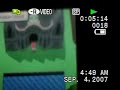 Me Stealing Elite Four Aaron's Dustox