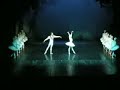 Lacul lebedelor in Brasov cu Teatrul Balsoi - 3