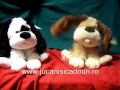 97150 2 catei cu urechi flutarande ok wm.wmv