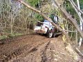 skidder is working in forest.