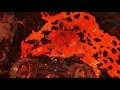 this is what happens when you keep people waiting on the ptr for raid testing.