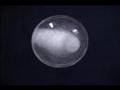 Rotating Sphere of Water in Microgravity