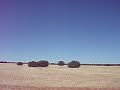 K27350A0955CamposSegados
