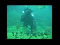 videos de Dave and Nik 2 cameras operators underwater Vortex Spring