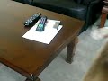 SANY0438.MP4