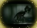 Take a Chance on Mittens *preview*