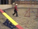 Training, Uschi mit Blizz am 09.11.08