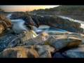 ATB - Ecstasy.wmv