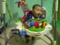 Baby Wyan