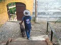 iniciando perra para lazarillo