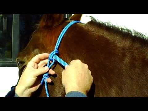 how to fasten rope halter