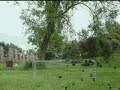 Black Powder Polumna