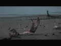 Surfrider Europe \"Glove\" PSA