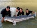 Last and biggest sturgeon of the day